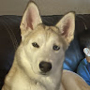 Meet your Posher, Jasmine